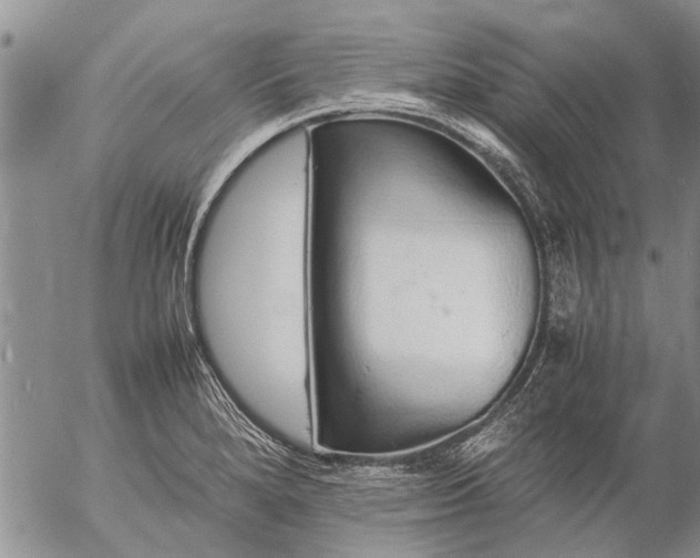 X0000057101280200509161645