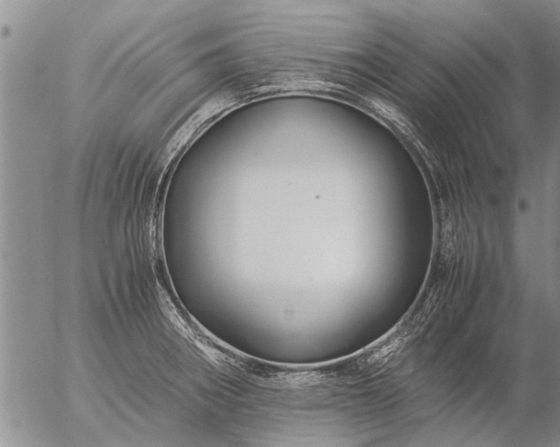 X0000057101282200509161645