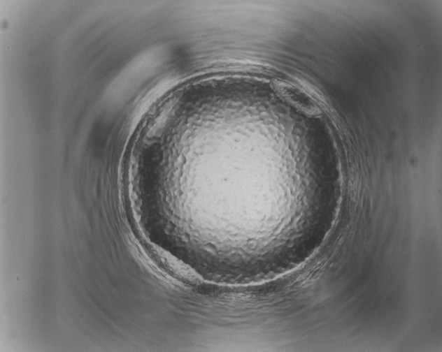 X0000057101283200509161645