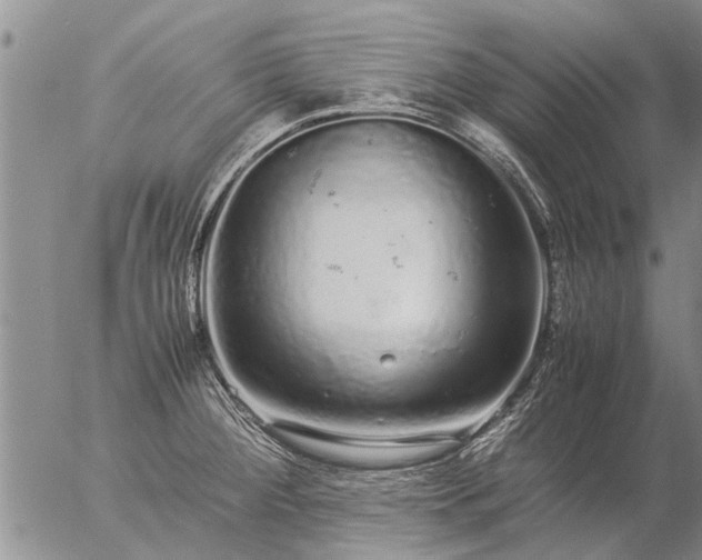 X0000057101284200509161645