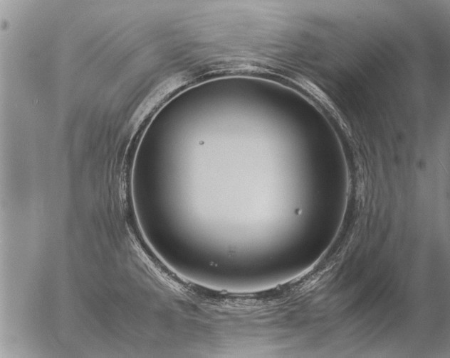 X0000057101285200509161645