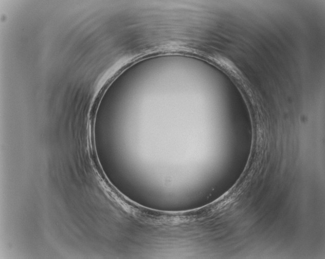 X0000057101286200509161645