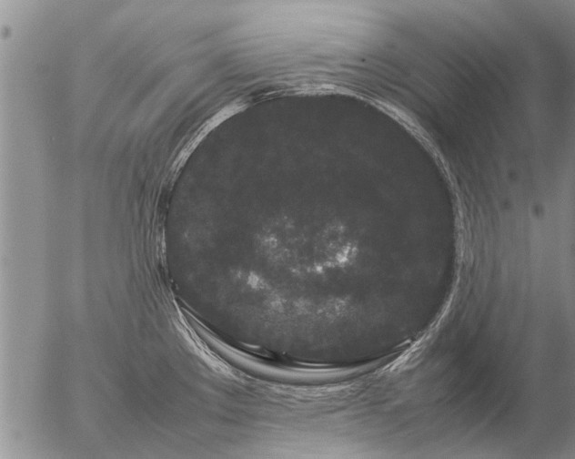 X0000057101289200509161645