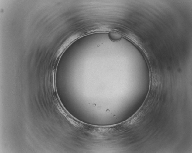 X0000057101290200509161645