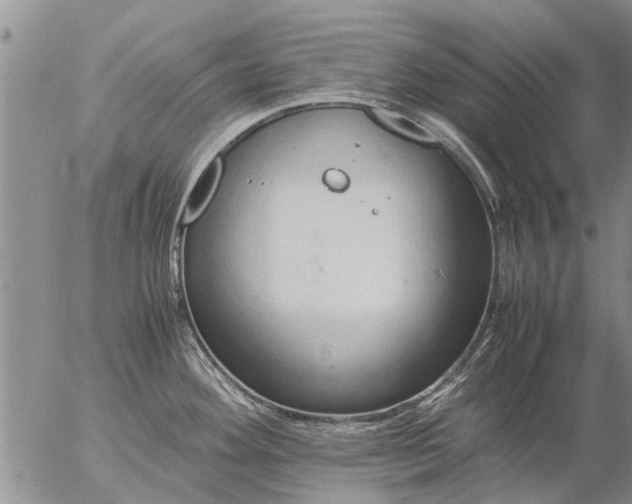 X0000057101292200509161645