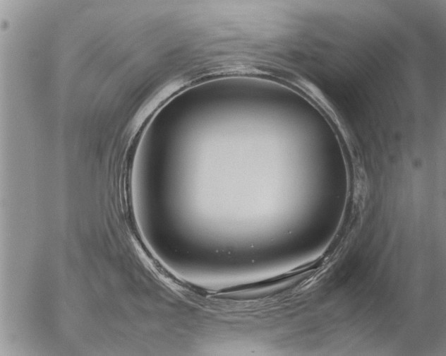 X0000057101293200509161645