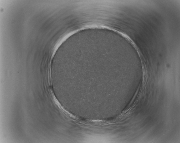 X0000057101295200509161645