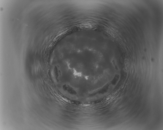 X0000057101297200509161644