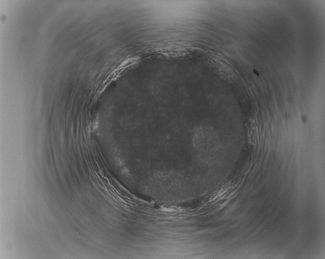 X0000057101298200509161644