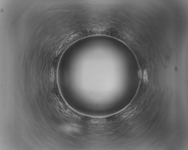 X0000057101299200509161644