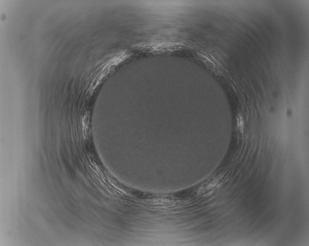 X0000057101300200509161644