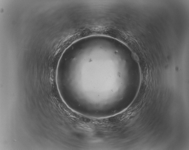 X0000057101301200509161644