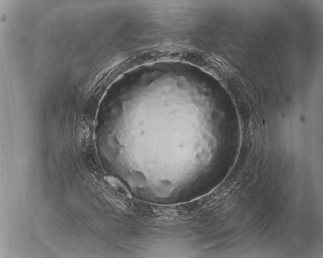 X0000057101302200509161644