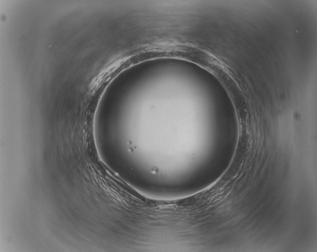 X0000057101304200509161644