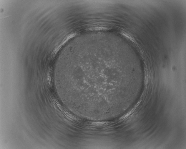 X0000057101305200509161644