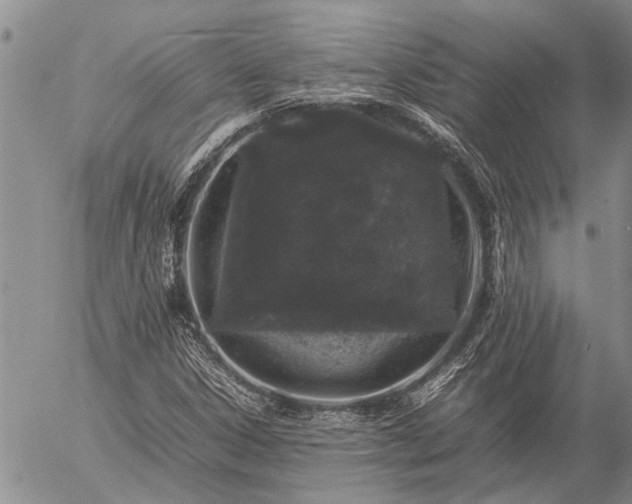 X0000057101306200509161644