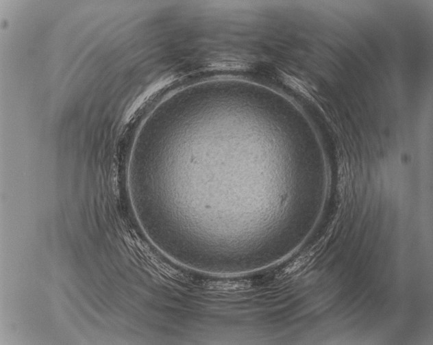 X0000057101307200509161644