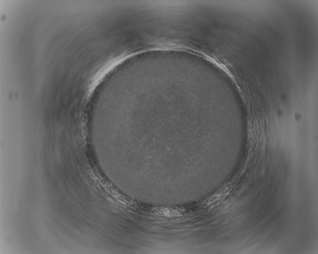 X0000057101311200509161644