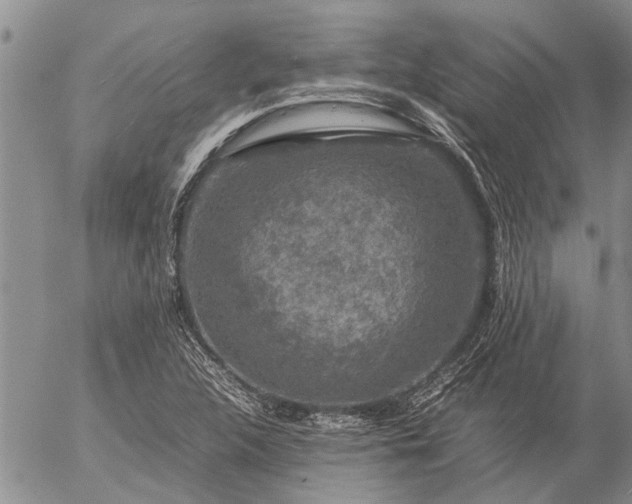 X0000057101312200509161644