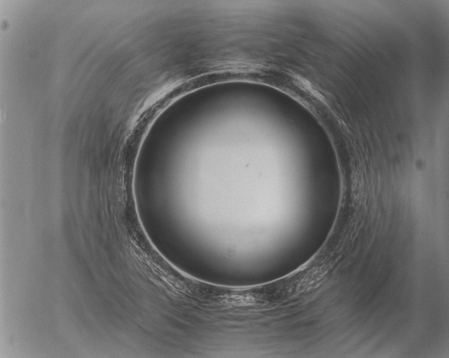 X0000057101315200509161644