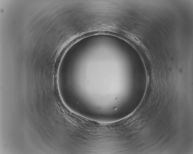 X0000057101316200509161645