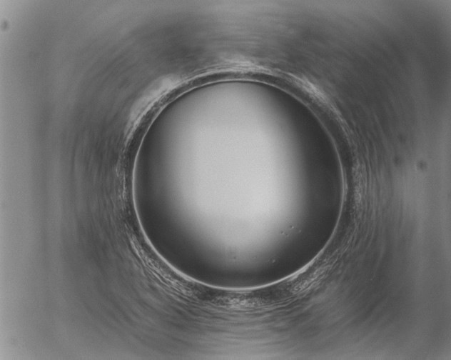 X0000057101318200509161645