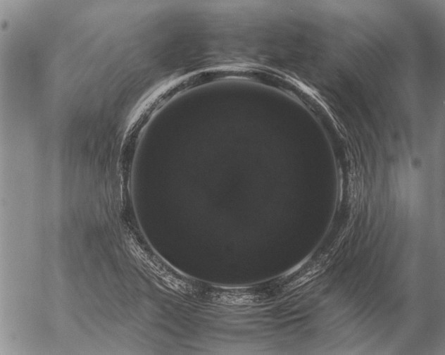 X0000057101319200509161645