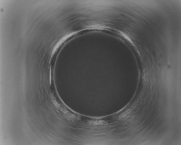 X0000057101323200509161645