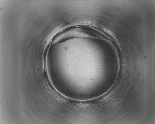 X0000057101324200509161645