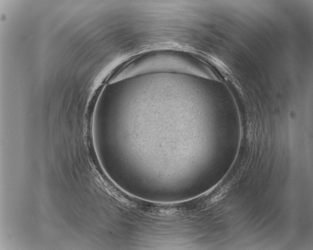 X0000057101326200509161645