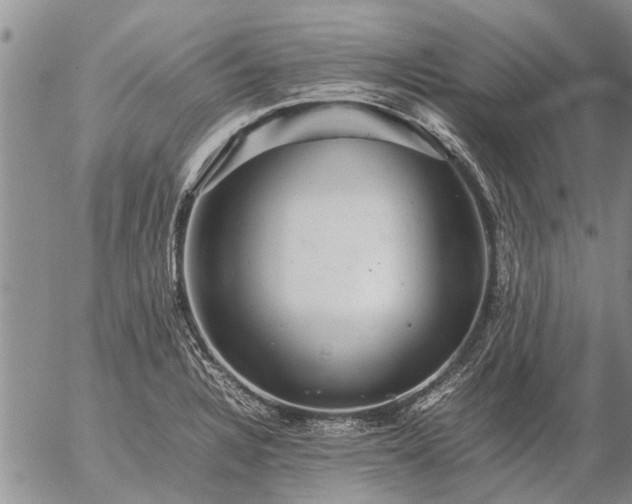 X0000057101328200509161645