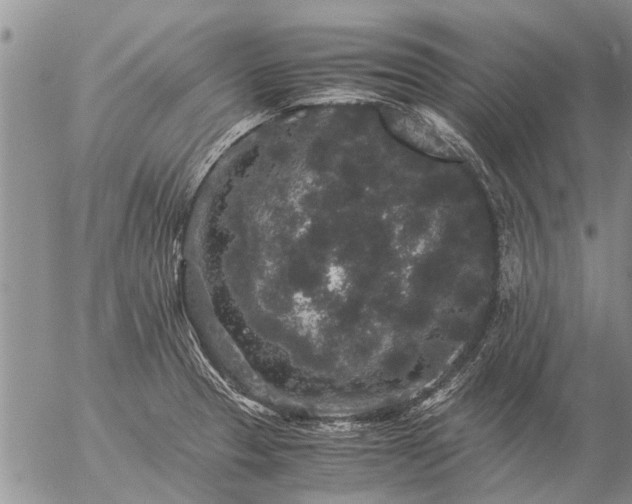 X0000057101329200509161645