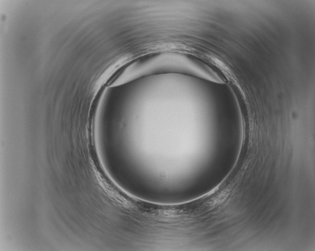 X0000057101330200509161645