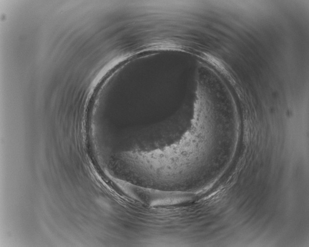 X0000057101331200509161645