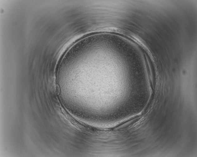 X0000057101332200509161645