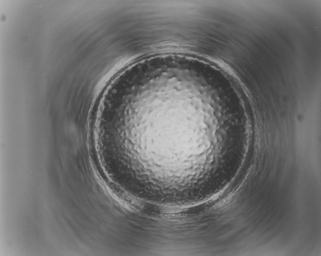 X0000057101333200509161645