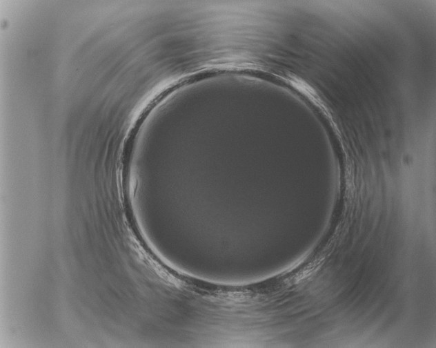 X0000057101334200509161645