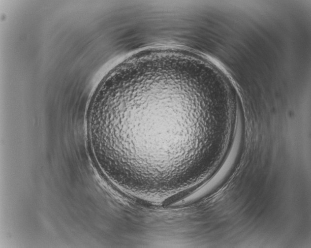 X0000057101335200509161645