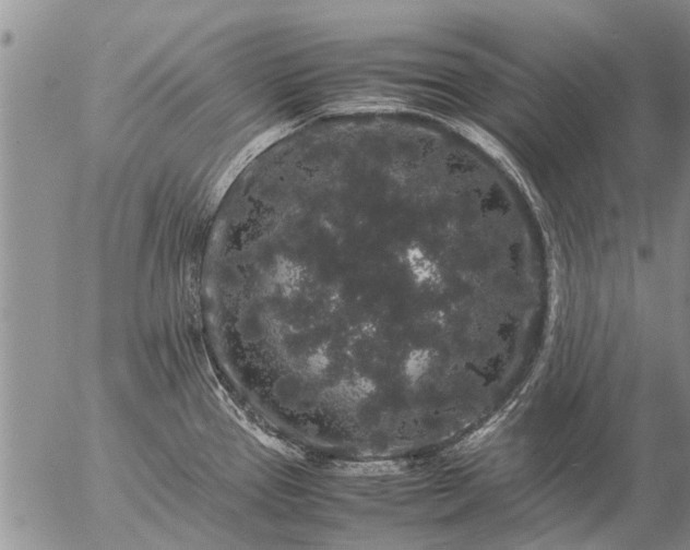 X0000057101337200509161645