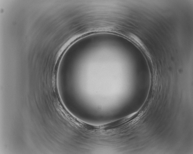 X0000057101340200509161645