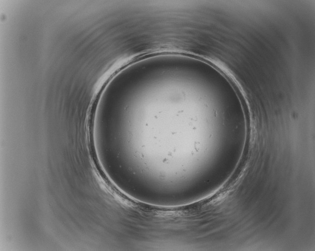 X0000057101341200509161645