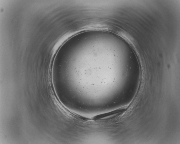 X0000057101344200509161645