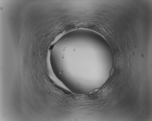 X0000057101345200509161644