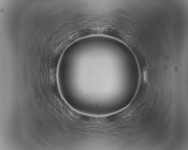 X0000057101347200509161644