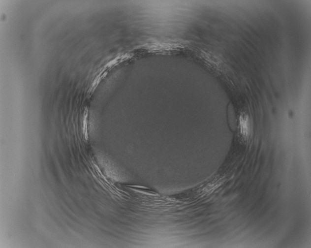 X0000057101348200509161644