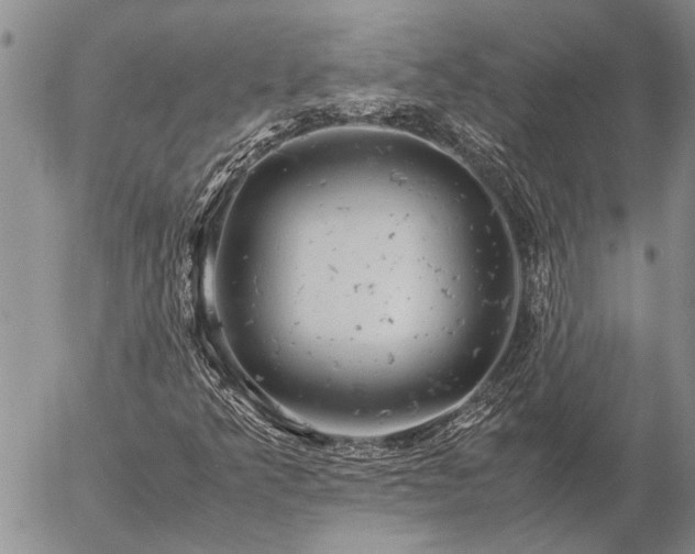 X0000057101349200509161644