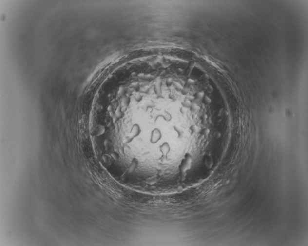 X0000057101351200509161644