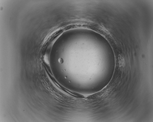 X0000057101352200509161644