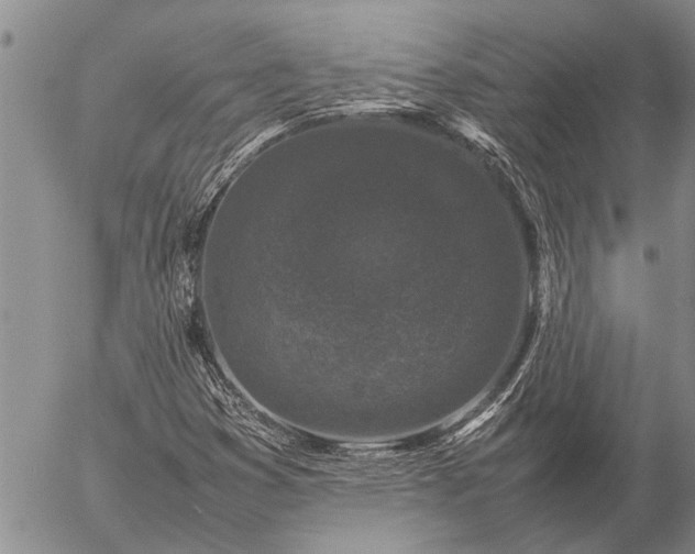 X0000057101353200509161644