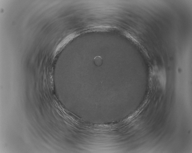 X0000057101354200509161644